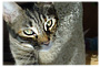 Abby's Photo 3